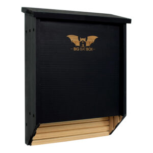 Budka domek dla nietoperzy 2-komorowa drewniana